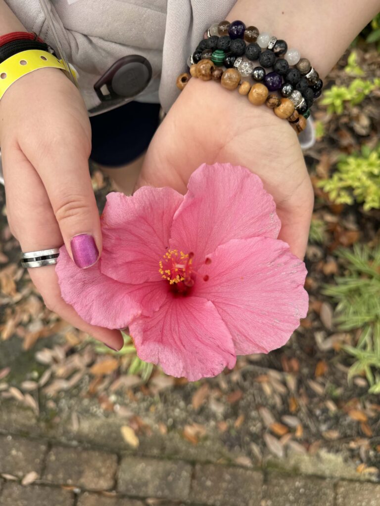 hands holding a pink hybiscus